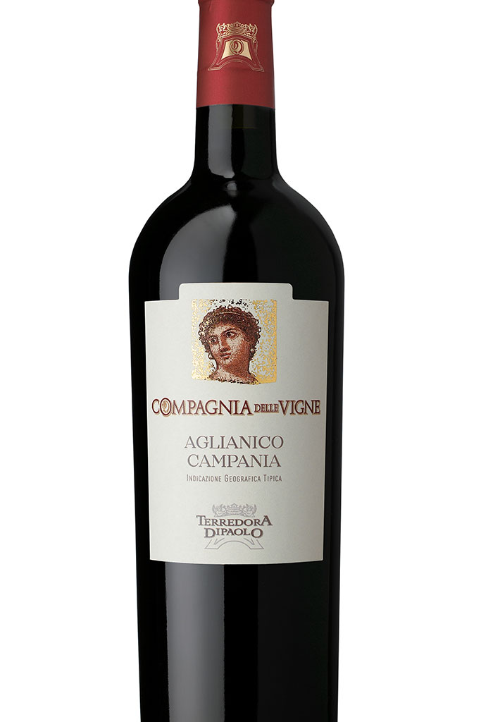 cv-aglianico