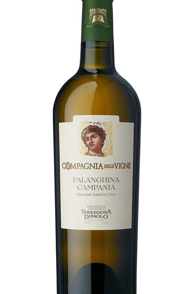 cv-falanghina